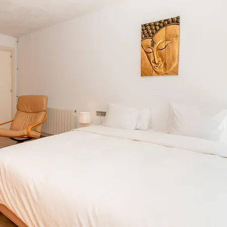 فيلة Lucere Olivella